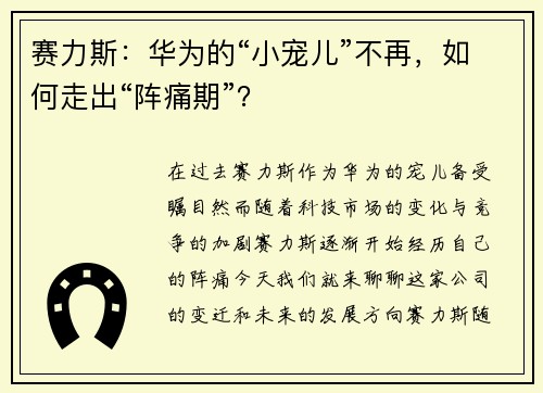赛力斯：华为的“小宠儿”不再，如何走出“阵痛期”？