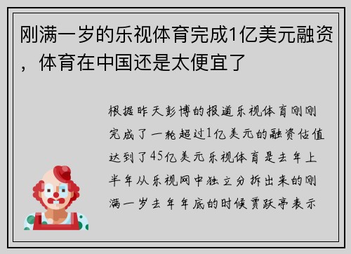 刚满一岁的乐视体育完成1亿美元融资，体育在中国还是太便宜了